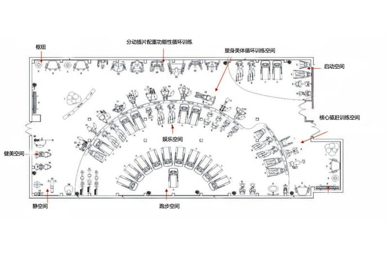 健身房器械如何摆放原则,布局,功能分区与最佳实践