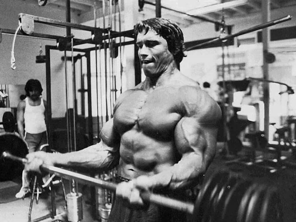 Arnold Schwarzenegger's shirtless son Patrick, 27, looks just like his ...