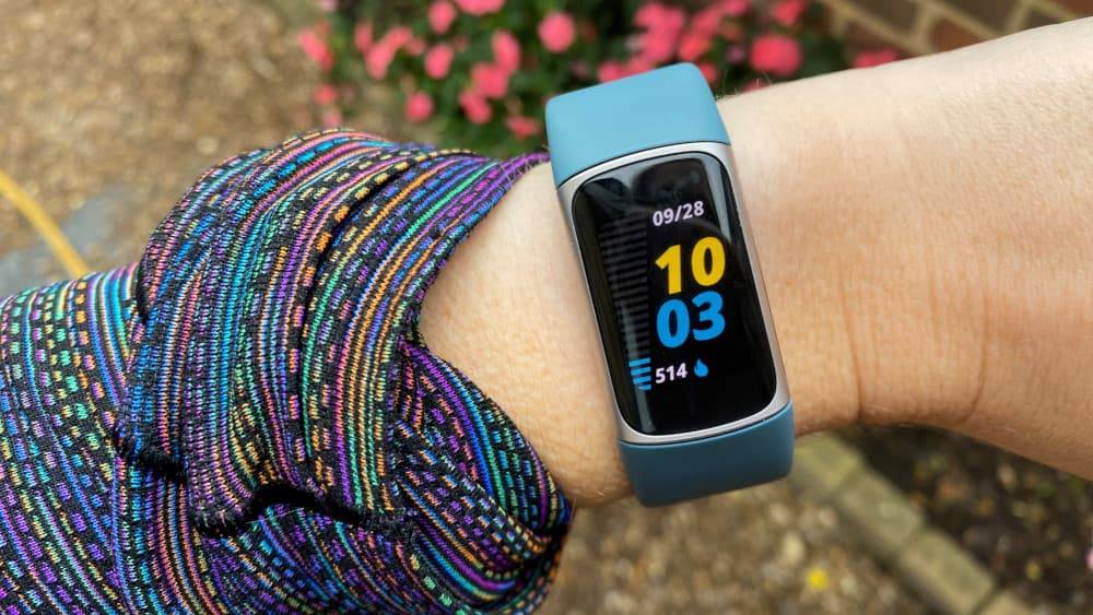 性价比最高的 FITBIT：Fitbit Charge 5